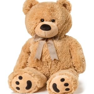 Meet your Posher, Ramon